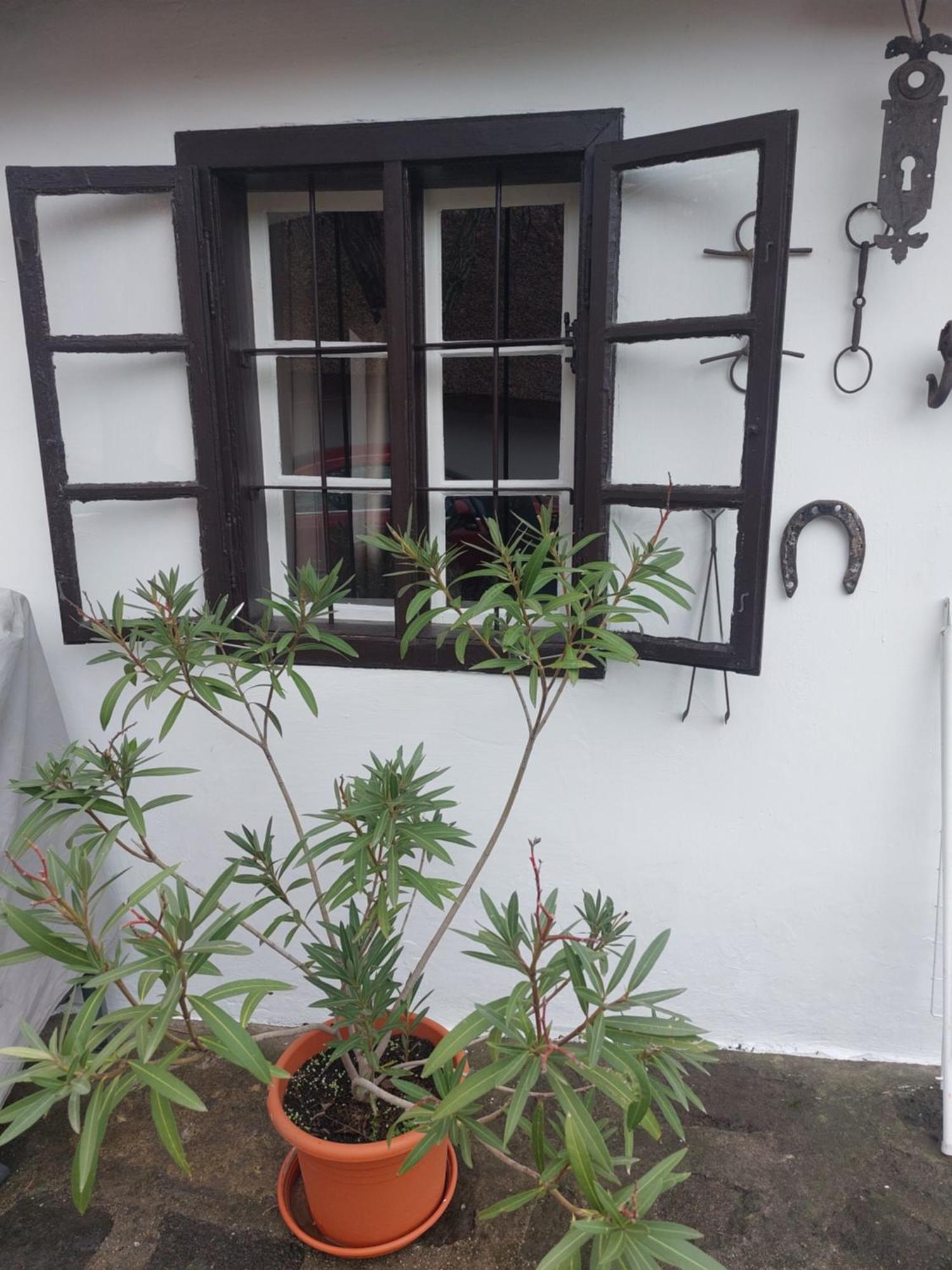 Babamuzeum Apartman Tihany Exterior photo